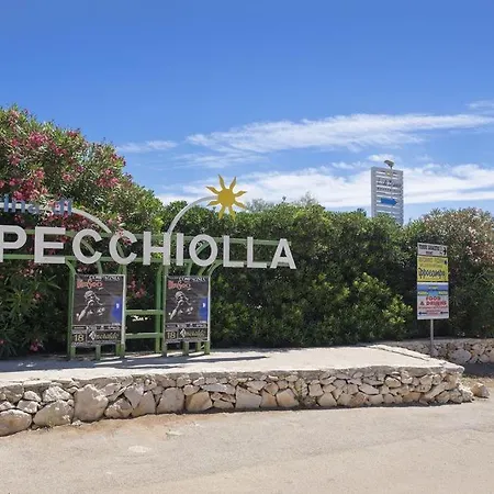 Della Pineta Apartamento